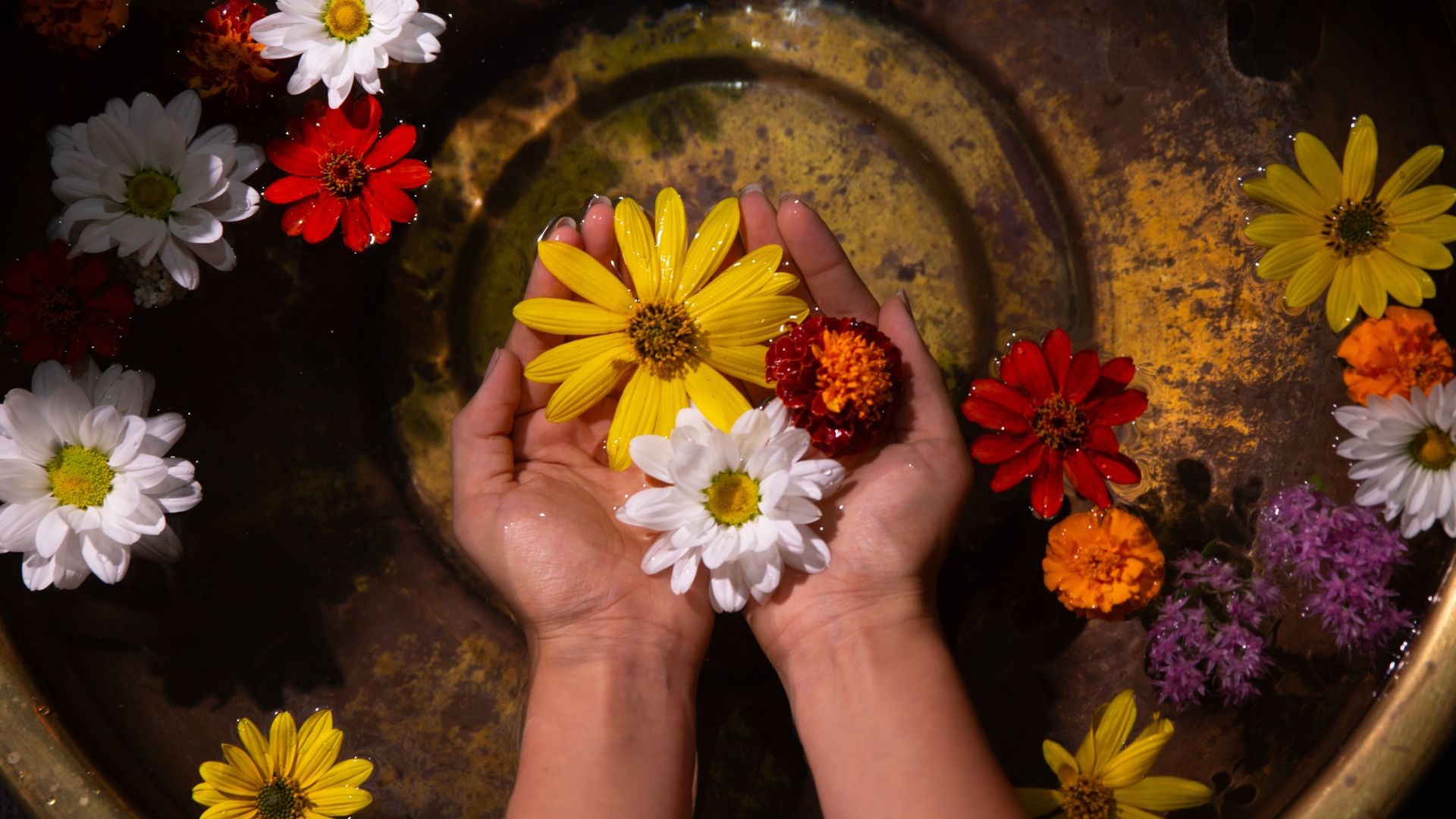 Detox Your Body With Ayurveda